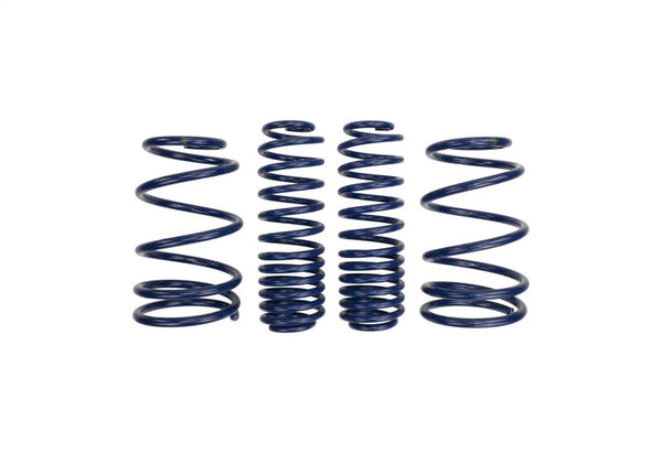 Ford Racing 2007-2014 Mustang Shelby GT500 Springs
