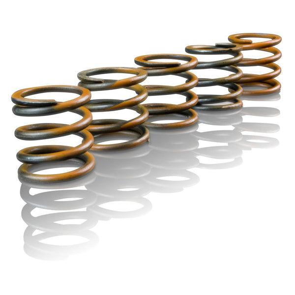 Enhanced Performance Accumulator Spring