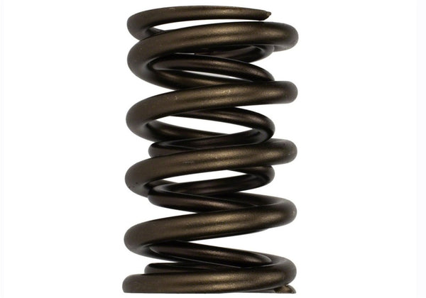 Ford Racing Replacement Hydraulic Roller Valve Spring - Single (For M-6049-SCJA)