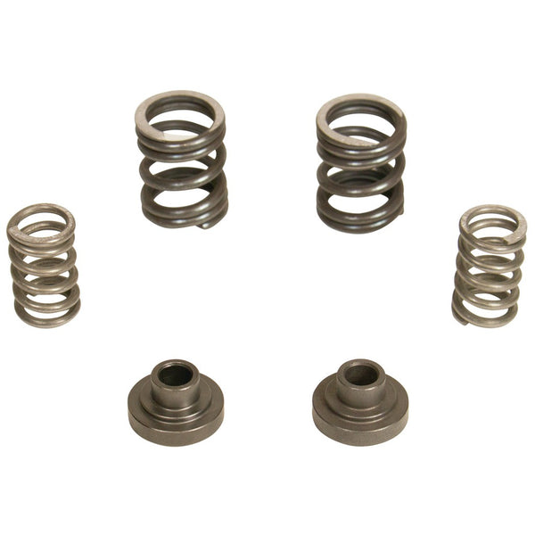 BD Diesel BD 5.9L Cummins Governor Springs P7100 Pump 3000RPM Dodge 1994-1998 12-valve - 1040187