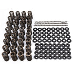 Pacific Performance Engineering 110090050 - Engine Valve Spring Kit