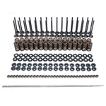 Pacific Performance Engineering 110090080 - Engine Valve Spring Kit