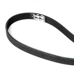 Pacific Performance Engineering 113060748 - Serpentine Belt