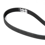 Pacific Performance Engineering 113061429 - Serpentine Belt
