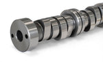 Pacific Performance Engineering 118026010 - Engine Camshaft