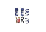 Ford Racing M-5300-S62T - Suspension Strut and Coil Spring Kit