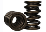 Ford Racing M-6513-17348 - Engine Valve Spring Kit