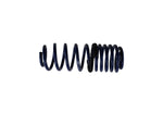 Ford Racing M-5300-KA - Suspension Strut and Coil Spring Kit