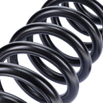 Camburg CAM-110105 - Coil Spring Set