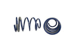 Ford Racing M-5300-PA - Suspension Strut and Coil Spring Kit