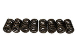 Ford Racing M-6513-17348 - Engine Valve Spring Kit