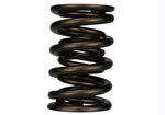 Ford Racing M-6513-17348 - Engine Valve Spring Kit
