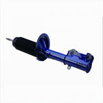 Ford Racing M-18001-AF - Suspension Strut Assembly