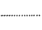 Ford Racing M-6500-R302 - Engine Valve Lifter