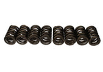 Ford Racing M-6513-17348 - Engine Valve Spring Kit