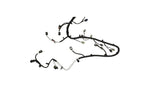 Ford Racing M-12508-M50A - Automatic Transmission Wiring Harness