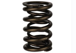 Ford Racing M-6513-17341 - Engine Valve Spring Kit