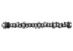 Ford Racing M-6250-E303 - Engine Camshaft Kit