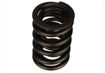 Ford Racing M-6513-17348 - Engine Valve Spring Kit