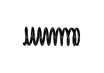 Ford Racing M-5300-B - Coil Spring Lowering Kit