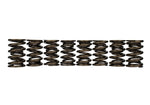 Ford Racing M-6513-17348 - Engine Valve Spring Kit