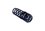 Ford Racing M-5300-KA - Suspension Strut and Coil Spring Kit