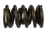 Ford Racing M-6513-17341 - Engine Valve Spring Kit