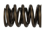 Ford Racing M-6513-17341 - Engine Valve Spring Kit