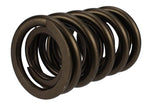 Ford Racing M-6513-17341 - Engine Valve Spring Kit