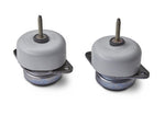 Ford Racing M-6038-M50 - Engine Mount