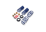 Ford Racing M-5300-S62T - Suspension Strut and Coil Spring Kit