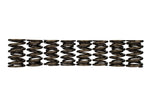 Ford Racing M-6513-17348 - Engine Valve Spring Kit
