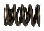 Ford Racing M-6513-17341 - Engine Valve Spring Kit