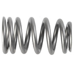 Ford Racing M-6513-1219X - Engine Valve Spring Kit