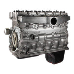 Industrial Injection PDM-59RLB - Engine Long Block