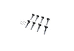 Ford Racing M-6026-BOSS50 - Engine Core Plug Set