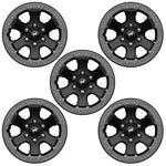 Ford Racing M-1007K-DC178B - Disc Rim and Wheel Assembly
