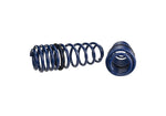 Ford Racing M-5300-PA - Suspension Strut and Coil Spring Kit