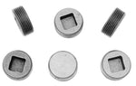 Ford Racing M-6026-B302 - Engine Core Plug Set