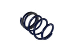 Ford Racing M-5300-KA - Suspension Strut and Coil Spring Kit