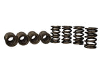 Ford Racing M-6513-17348 - Engine Valve Spring Kit