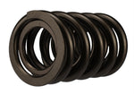 Ford Racing M-6513-17348 - Engine Valve Spring Kit