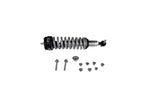 Ford Racing M-18001-RAF - Coilover