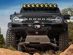 ICON Vehicle Dynamics 48601 - Coilover