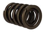 Ford Racing M-6513-17341 - Engine Valve Spring Kit