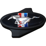 Ford Racing 302-338 - Air Cleaner Assembly