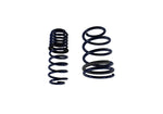 Ford Racing M-5300-KA - Suspension Strut and Coil Spring Kit