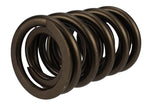 Ford Racing M-6513-17341 - Engine Valve Spring Kit