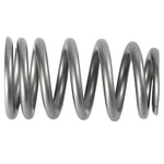 Ford Racing M-6513-1219X - Engine Valve Spring Kit