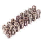Ford Racing M-6513-M50BR - Engine Valve Spring Kit